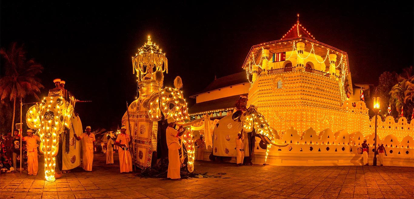 Decorated elephants at the Kandy Esala Perahera Festival
